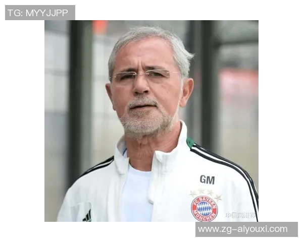 本泽马:从天才少年到足球巨星的辉煌历程与传奇故事 本泽马:从天才少年到足球巨星的辉煌历程与传奇故事